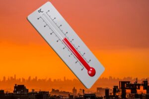 UGT alerta del riesgo para la salud en la oficina de la Seguridad Social de Torrevieja por las altas temperaturas
