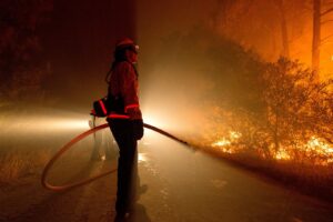 Aprobada la Ley Básica de Bomberos Forestales