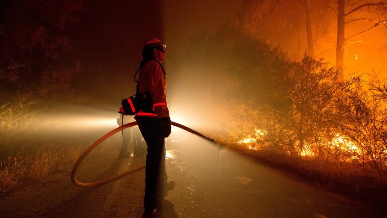 Lee más sobre el artículo Aprobada la Ley Básica de Bomberos Forestales