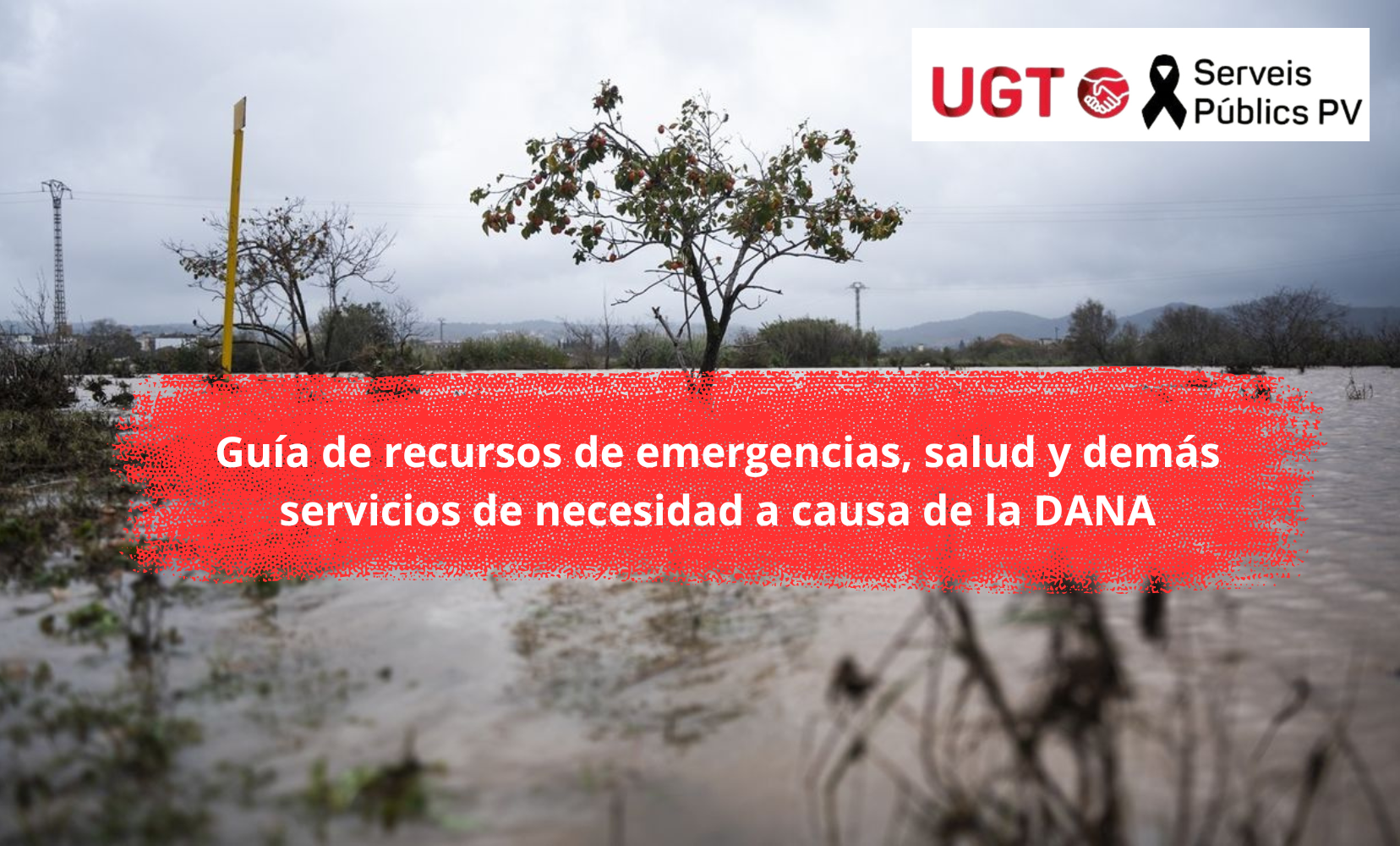 Guía de recursos de emergencias, salud y demás servicios de necesidad a causa de la DANA