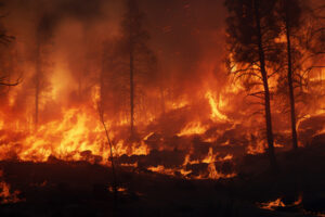 UGT expresa su pesar por las víctimas del incendio de Los Gallardos: ante los incendios forestales no caben recortes